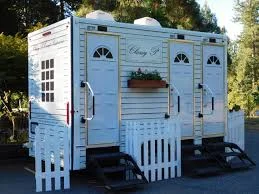 Festival Sanitation Package in Frisco, TX